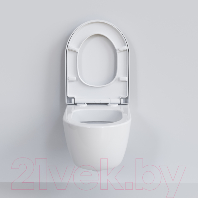 Сиденье для унитаза Ambassador 102T20001 (белый)