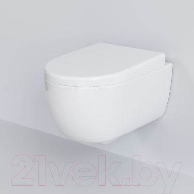 Сиденье для унитаза Ambassador 102T20001 (белый)