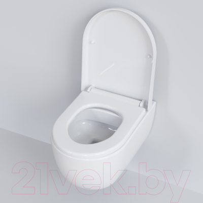 Сиденье для унитаза Ambassador 102T20001 (белый)