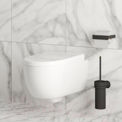 Сиденье для унитаза Ambassador 102T20001 (белый)