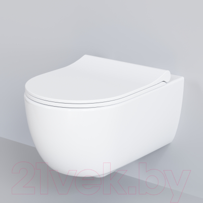 Сиденье для унитаза Ambassador 102T20001S (белый)