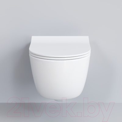 Сиденье для унитаза Ambassador 102T20001S (белый)