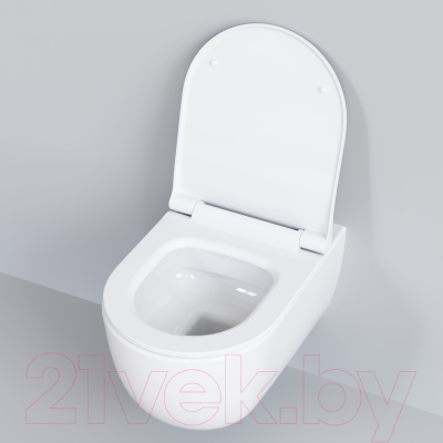 Сиденье для унитаза Ambassador 102T20001S (белый)