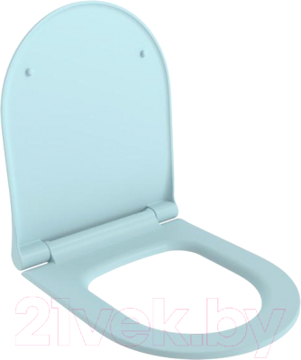 Сиденье для унитаза Ambassador 102T20801S - фото