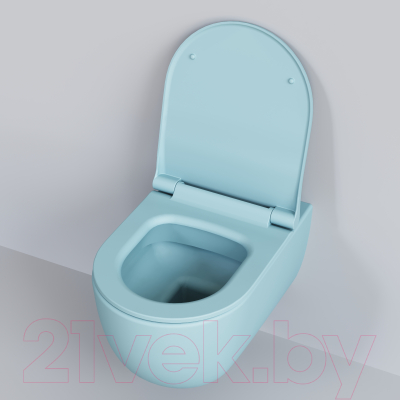 Сиденье для унитаза Ambassador 102T20801S