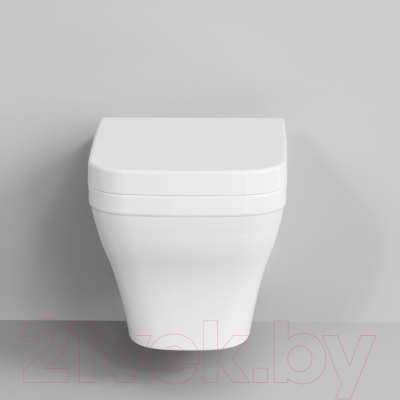 Сиденье для унитаза Ambassador Benefit / 202T20001 (белый)