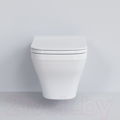 Сиденье для унитаза Ambassador Benefit / 202T20001S