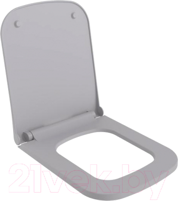 Сиденье для унитаза Ambassador Benefit / 202T20301S - фото