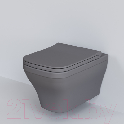 Сиденье для унитаза Ambassador Benefit / 202T20301S