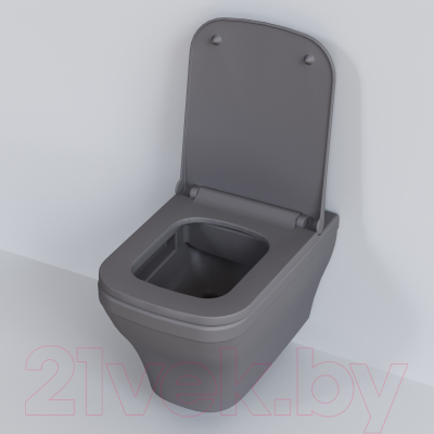 Сиденье для унитаза Ambassador Benefit / 202T20301S