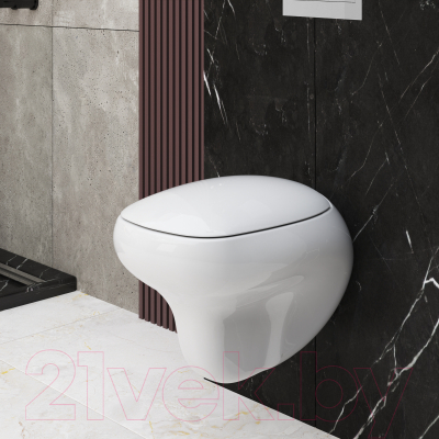 Сиденье для унитаза Ambassador Diamond / 122T20001 (белый)