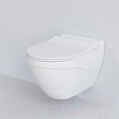 Сиденье для унитаза Ambassador Nord / 132T20001S (белый)