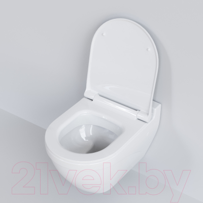 Сиденье для унитаза Ambassador Nord / 132T20101S