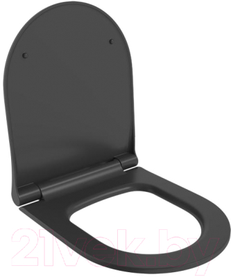 Сиденье для унитаза Ambassador Nord / 132T20201S (черный матовый) - фото