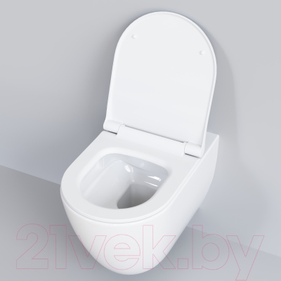 Сиденье для унитаза Ambassador Queen / 112T20001S (белый)