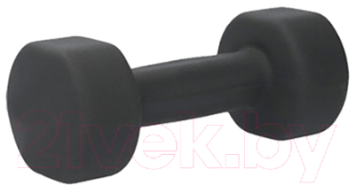 Гантель PRCTZ Neoprene Dumbbell / PS7135 - фото