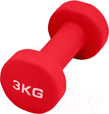 Гантель PRCTZ Neoprene Dumbbell / PS7115 - фото