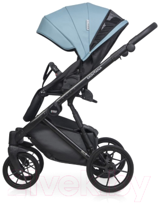 Детская универсальная коляска Riko Montana Ecco 3 в 1