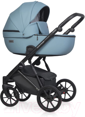 Детская универсальная коляска Riko Montana Ecco 3 в 1