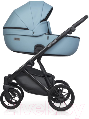 Детская универсальная коляска Riko Montana Ecco 3 в 1
