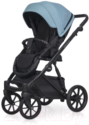 Детская универсальная коляска Riko Montana Ecco 3 в 1
