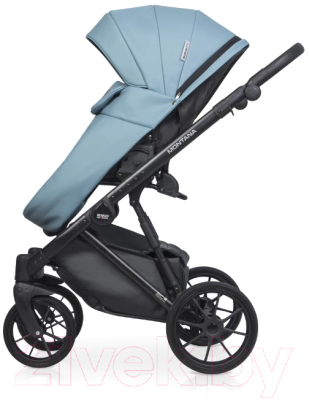 Детская универсальная коляска Riko Montana Ecco 3 в 1
