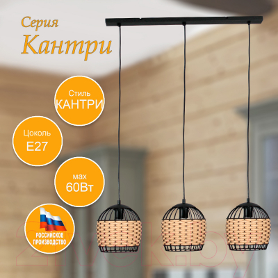 Потолочный светильник Элетех Кантри 231 НСБ 01-3х60-170 Е27 / 1005405194 (черный муар)