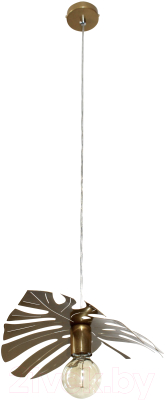 Потолочный светильник Элетех Монстера 211 НСБ 01-60-166 Е27 / 1005405186