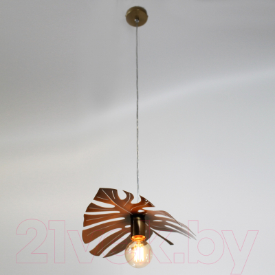 Потолочный светильник Элетех Монстера 211 НСБ 01-60-166 Е27 / 1005405186