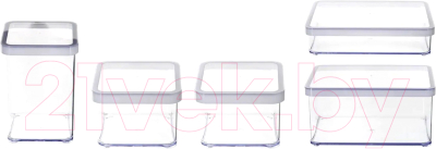 Набор емкостей для хранения Rotho Loft Premium / 1037990000 (5шт) - фото