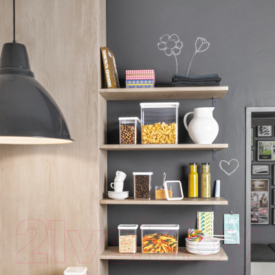 Набор емкостей для хранения Rotho Loft Premium / 1037990000 (5шт)