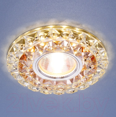 Точечный светильник Elektrostandard 2170 MR16 GC/CL