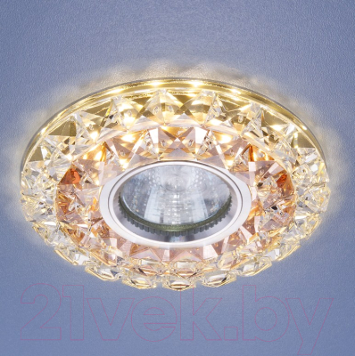 Точечный светильник Elektrostandard 2170 MR16 GC/CL