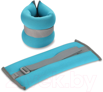 Комплект утяжелителей Indigo SM-261 - фото