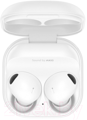 Беспроводные наушники Samsung Galaxy Buds 2 Pro / SM-R510NZ