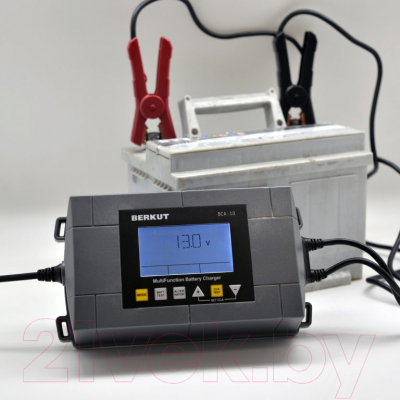 Зарядное устройство для аккумулятора Беркут BCA-10