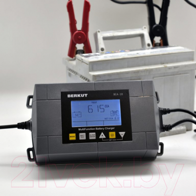 Зарядное устройство для аккумулятора Беркут BCA-10