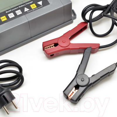 Зарядное устройство для аккумулятора Беркут BCA-10