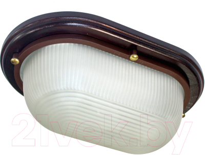 Светильник ЖКХ Элетех Самарканд 1201 НПП 03-100-017 IP65 / 1005500968 - фото