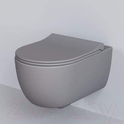 Унитаз подвесной Ambassador Abner / 103T20301R (серый матовый)
