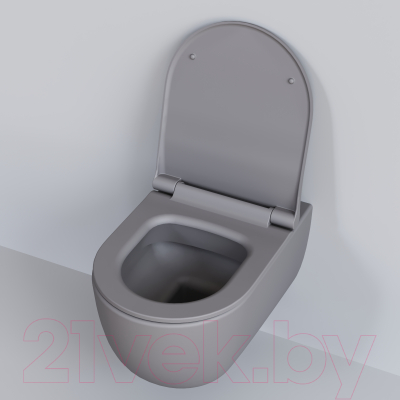 Унитаз подвесной Ambassador Abner / 103T20301R (серый матовый)