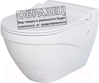 Унитаз подвесной Ambassador Nord / 133T20101 - фото