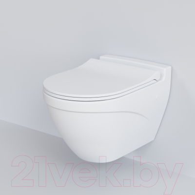 Унитаз подвесной Ambassador Nord / 133T20101