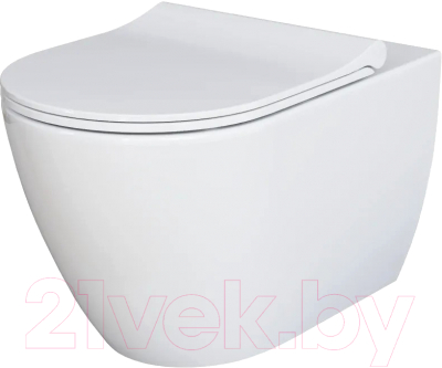 Унитаз подвесной Ambassador Queen / 113T20001R - фото