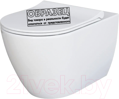 Унитаз подвесной Ambassador Queen / 113T20001R - фото