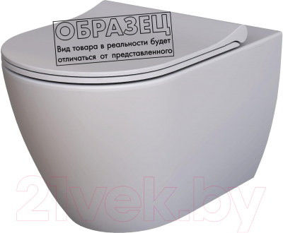 Унитаз подвесной Ambassador Queen / 113T20301R - фото