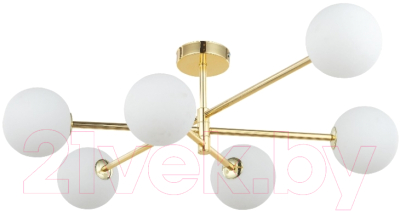 Потолочный светильник TK Lighting TKP4739 - фото