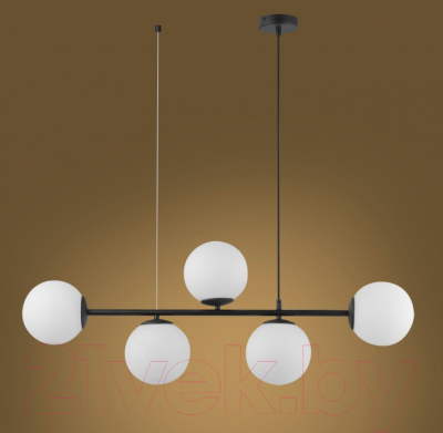 Потолочный светильник TK Lighting TKP6219