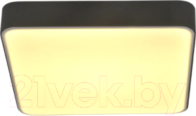 Потолочный светильник Mirastyle SL-41050/400-60W BK - фото