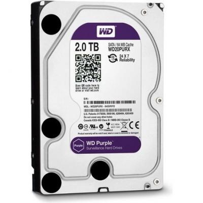 Жесткий диск Western Digital Purple 2TB (WD20PURX) - фото